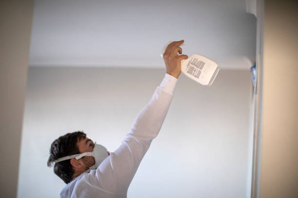 Best Mold Remediation  in Waverly, IA